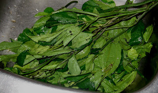Are You Good At frozen organic kale? Here's A Quick Quiz To Find Out