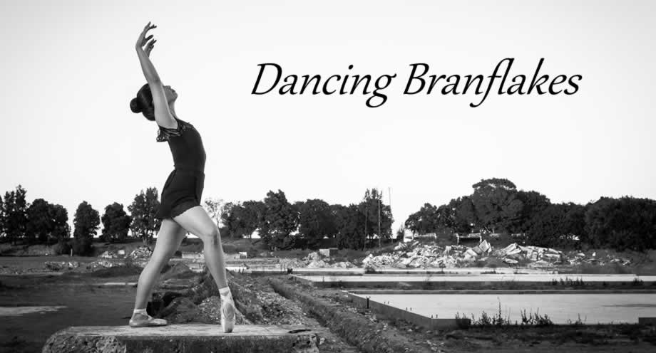Dancing Branflakes Header Dancing Branflakes Header