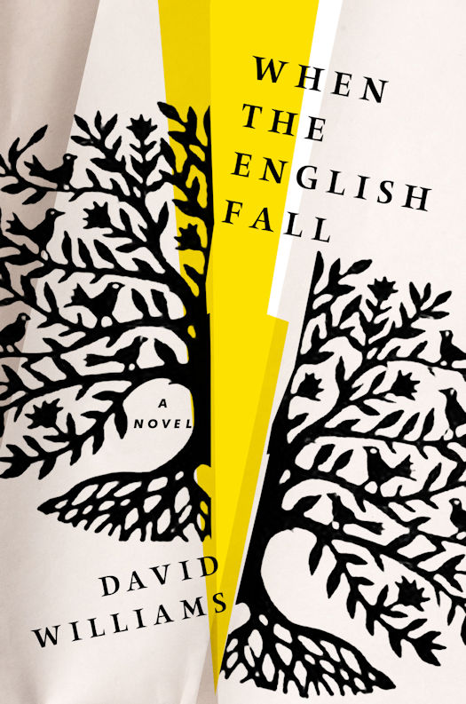 Interview with David Williams, author of When the English Fall