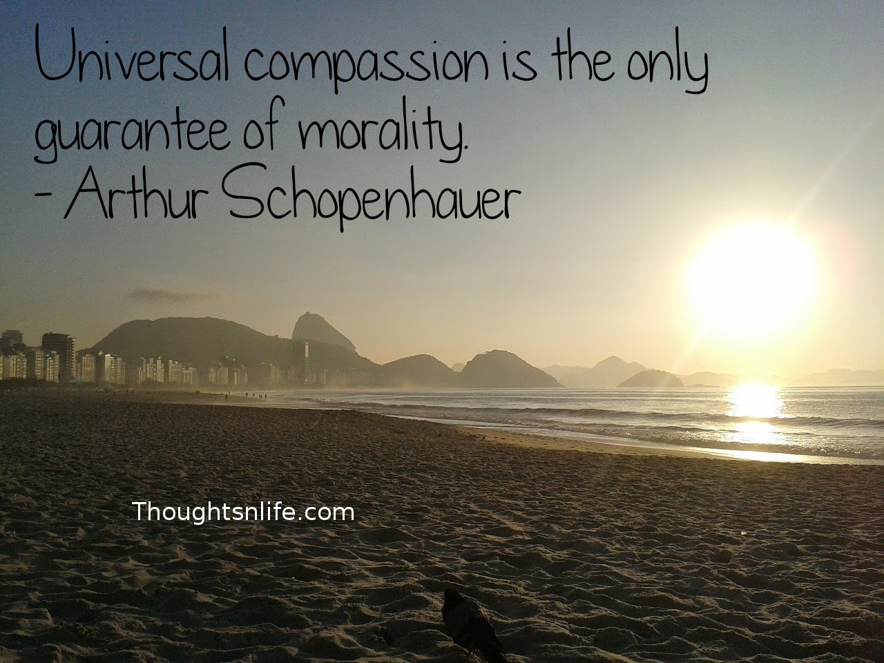 Compassion-quotes-quotes-on-compassion