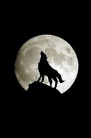 Image demonstrates full moon and wolf 
