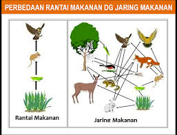 Ekosistem Pengetian Komponen Interaksi Tipe Macam Dan Contohnya
