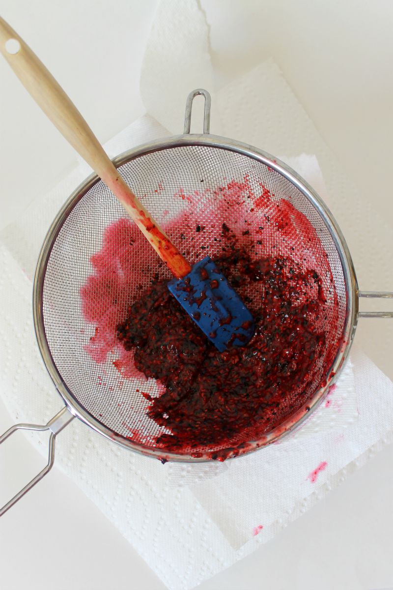BEAUTY & THE BEARD MIXED BERRY SORBET! (how to make sorbet without an