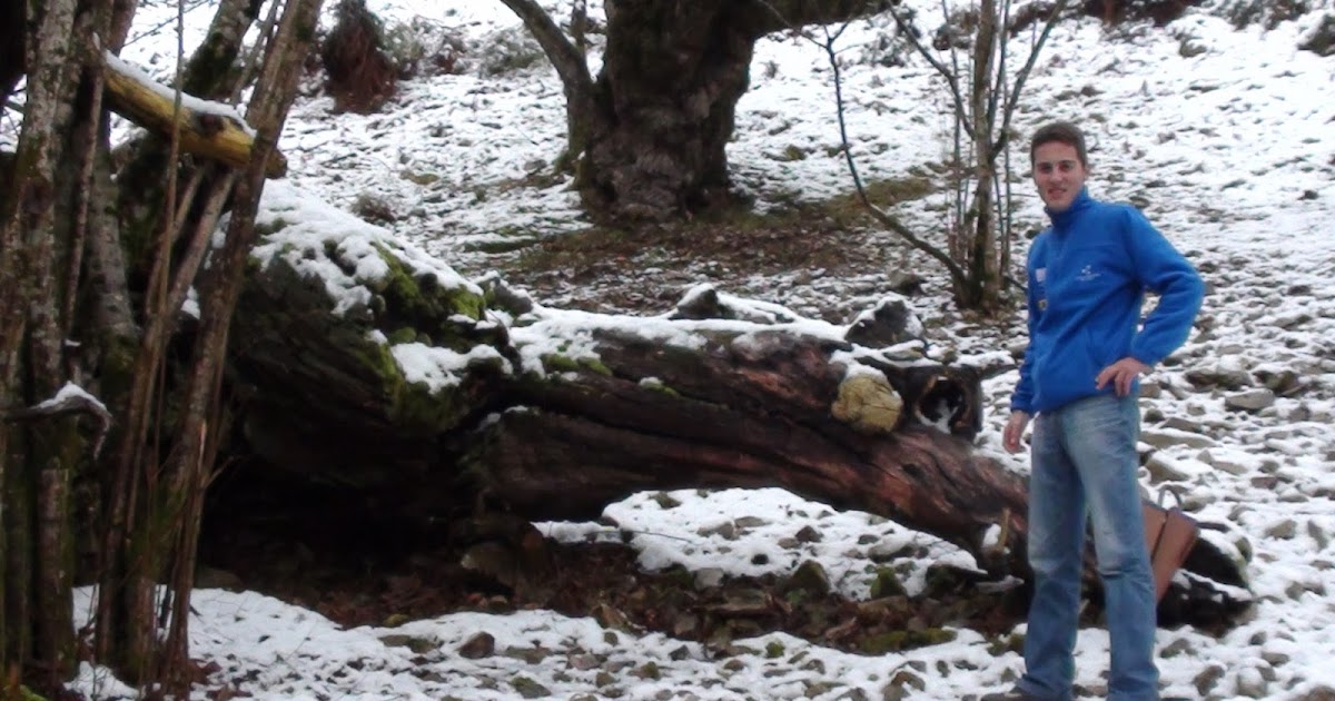 TALLER DE EMPLEO de Cangas de Onís, Amieva y Onís Bosque