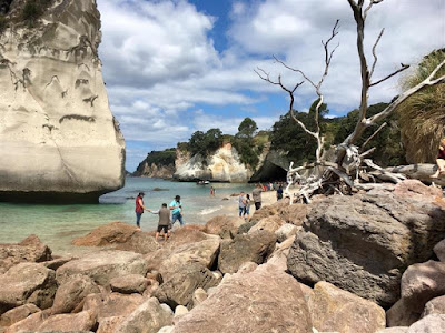 Intercâmbio Nova Zelândia - A exótica praia de Cathedral Cove em Coromandel