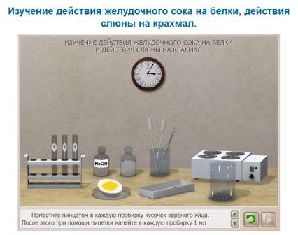 ферменты желудочного сока действующие на белки. наблюдение действия желудочного сока на белки лабораторная. лабораторная работа действие ферментов. изучение действия желудочного сока на белки таблица. практическая работа воздействие желудочного сока на белки.