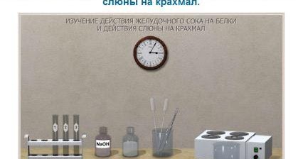 действие ферментов желудочного сока на белки. воздействие желудочного сока на белки лабораторная. воздействие желудочного сока на белки лабораторная работа. лабораторная работа действие ферментов желудочного сока на белки. действие ферментов желудочного сока на белки.