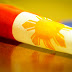 FEME Connect: Directory of Filipino professionals in the UAE launched