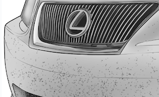 The most effective method to Remove Bugs From Your Car - Izarra Automotive