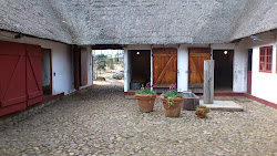 farm danish irishhighlander courtyard