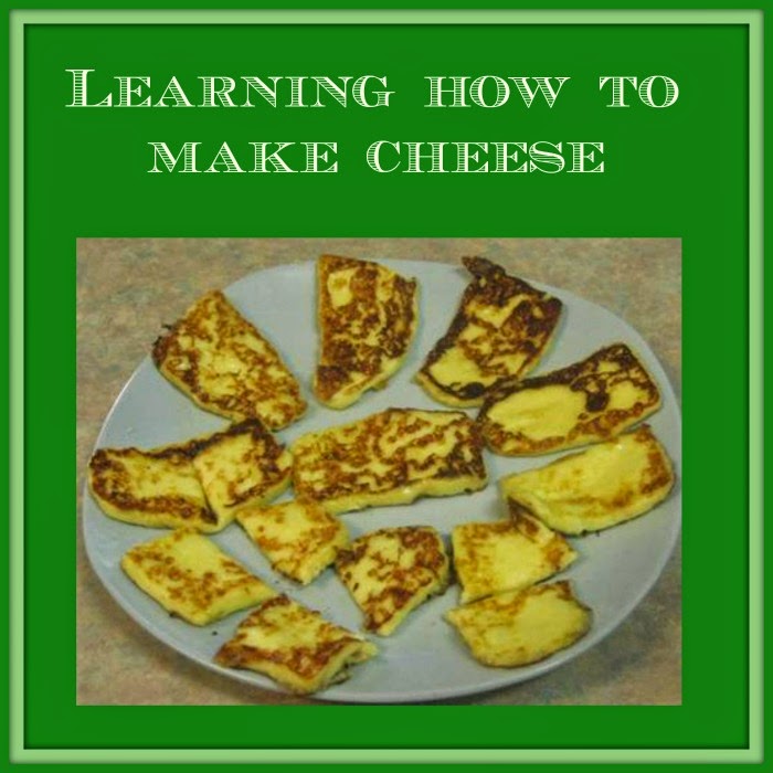 Going Grey and Slightly Green Learning how to make cheese