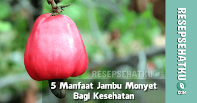 5 Manfaat Jambu Monyet Bagi Kesehatan Manfaat Jambu Monyet Mete