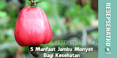 5 Manfaat Jambu Monyet Bagi Kesehatan
