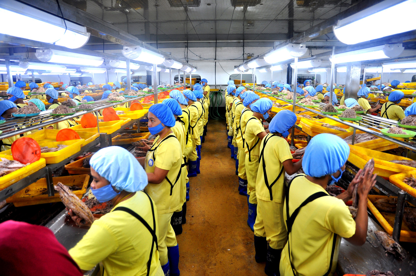 занятия в промышленности в бразилии. занятия в промышленности в бразилии. автомобилестроение в бразилии. заводы в бразилии. занятия в промышленности в бразилии.