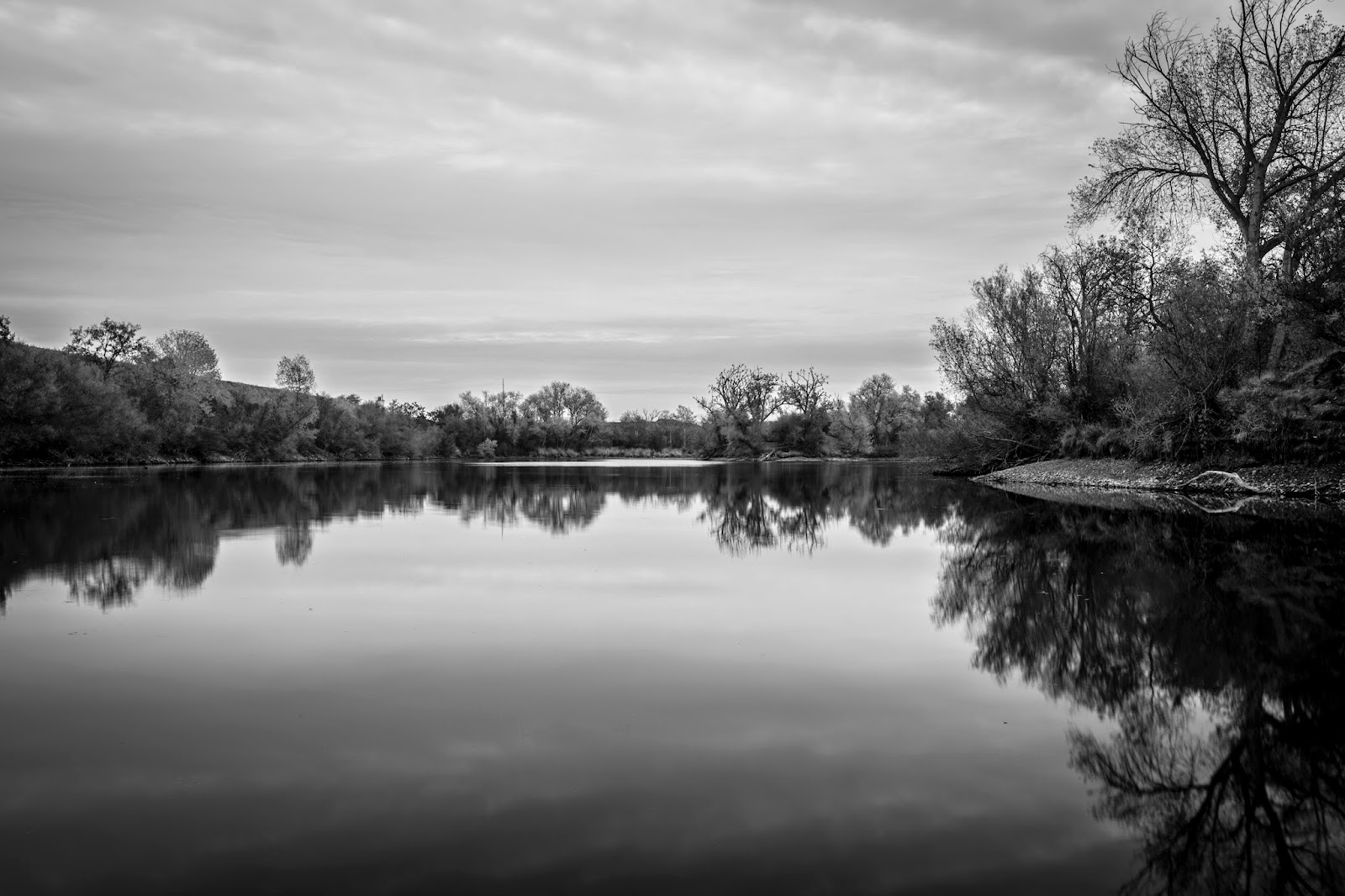 Naturetastic Blog Shadow Cliffs Regional Park (Part 2) Pleasanton, CA