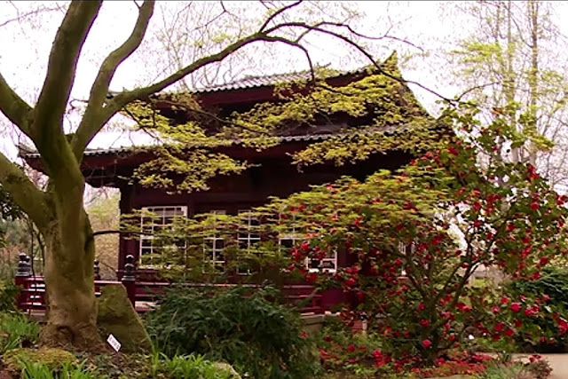 Ein Schweizer Garten 2018 2 Best Of Zierbaume Fur Den Garten