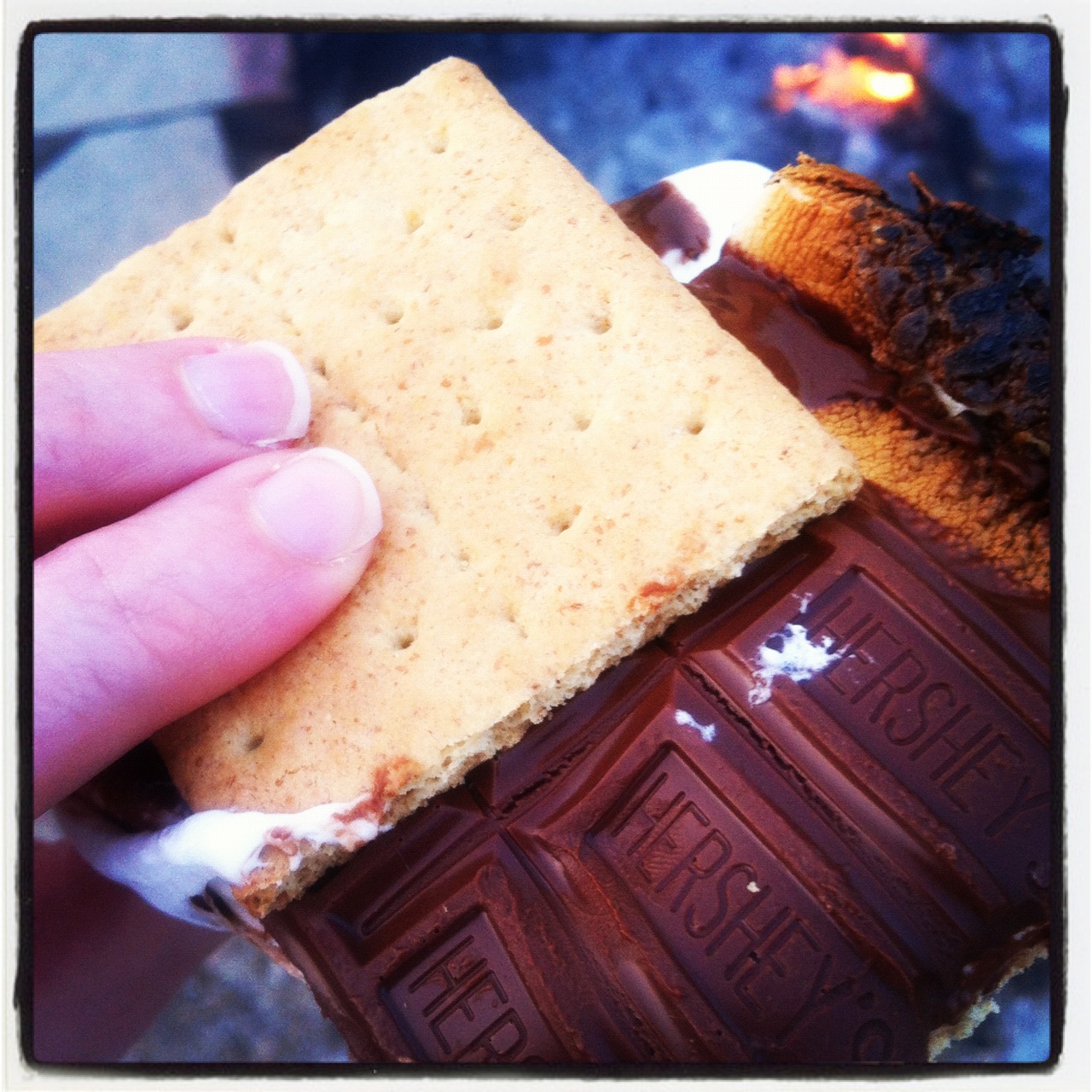 Where My Wild Things Are a weenie roast