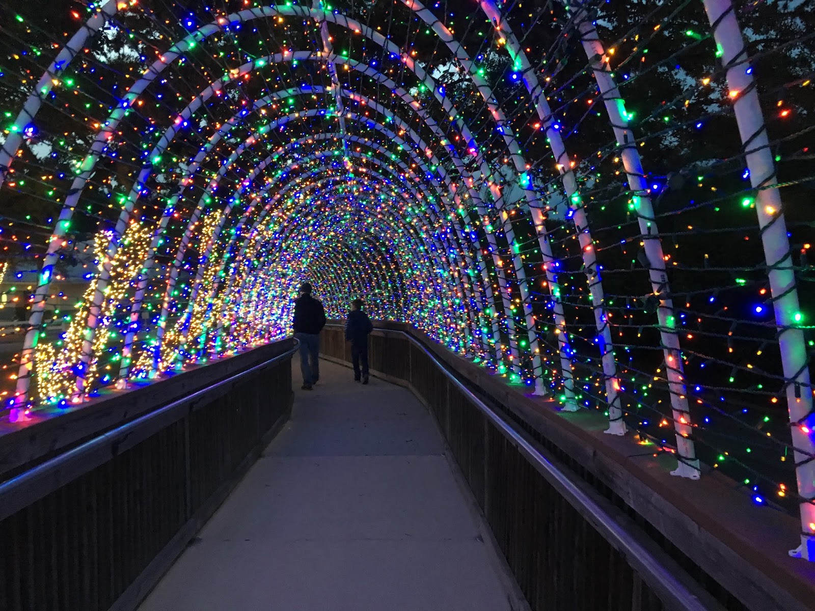 Saving for a Dream Christmas at SeaWorld San Antonio