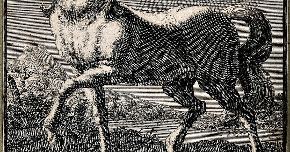 Sat Sangat Astrology Grand Trine of Healing 3d chapter Chiron Venus