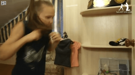 2.gif