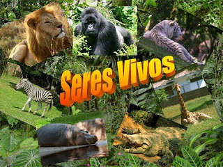 La temperatura y los seres vivos