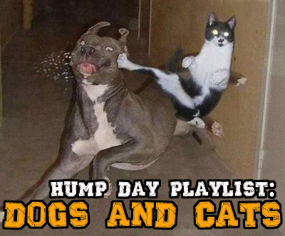 Rock Blog The Shit Hump Day Playlist Dogs And Cats