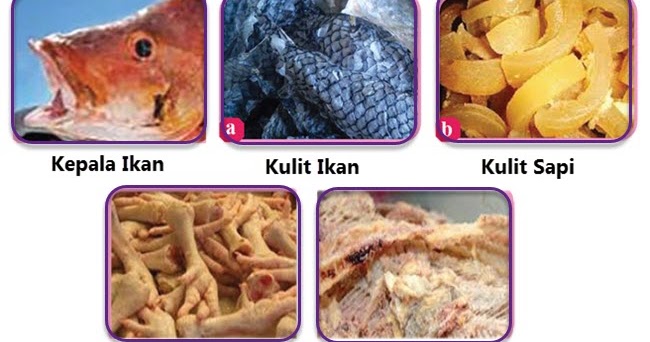 Jenis Dan Manfaat Makanan Dari Bahan Pangan Produk Samping