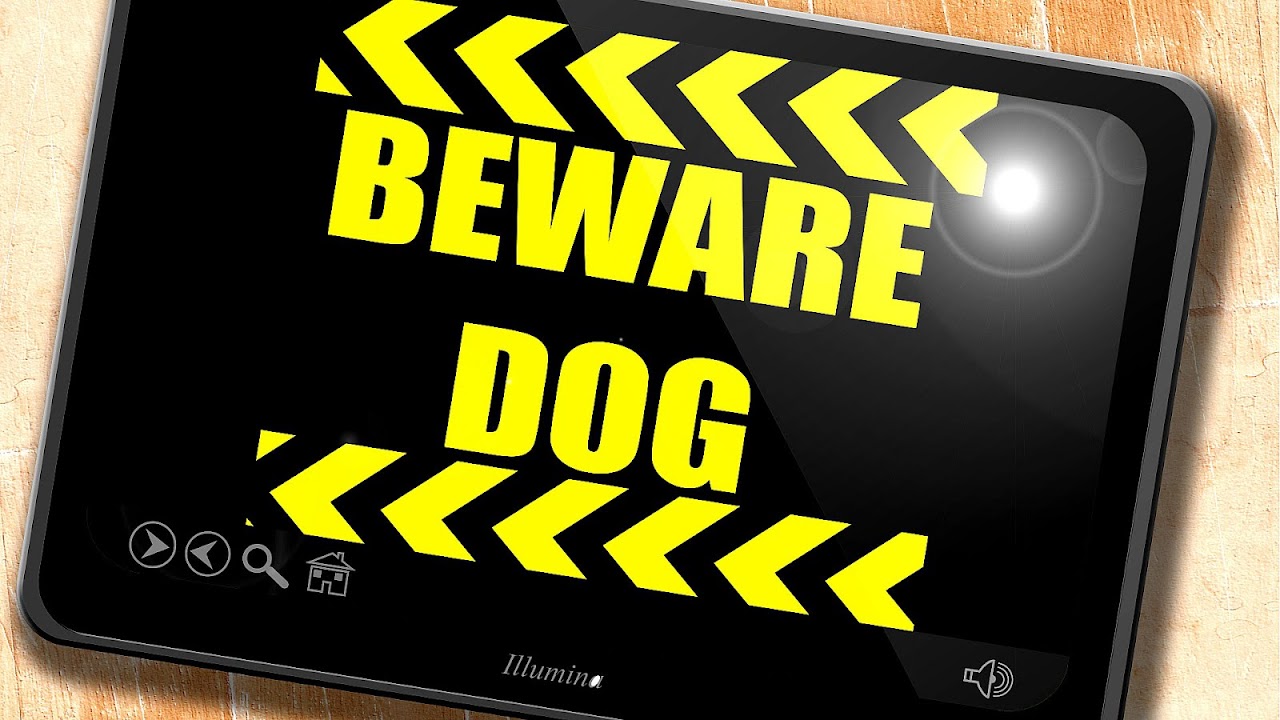 Does Homeowners Insurance Cover Dog Bites Dog Choices