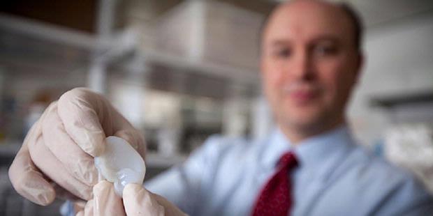 Terungkap: Ilmuwan Berikut Berhasil Ciptakan Telinga Buatan Untuk Manusia, Cara Membuatnya Akan Bikin Kamu kaget Terungkap: Ilmuwan Berikut Berhasil Ciptakan Telinga Buatan Untuk Manusia, Cara Membuatnya Akan Bikin Kamu kaget