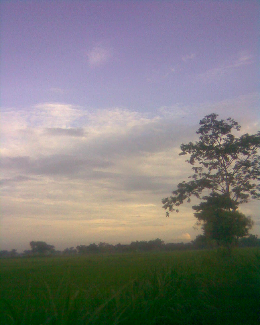 Collections of Mini Photography | Creative Mobile Photography Gallery