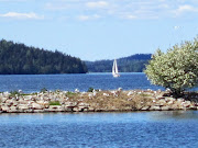 Lahti ja Vesijärvi