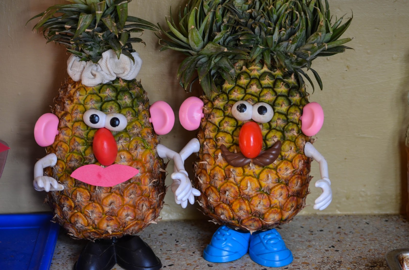 The Tuininga Family Adventures Mr. and Mrs. Pineapplehead