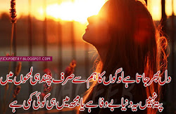 sad urdu poetry shayari ignore lines quotes feeling lover