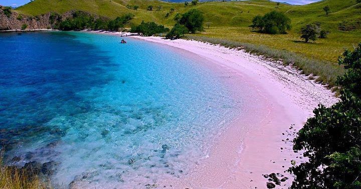 World General Knowledge Pink  beach  in Lombok Indonesia