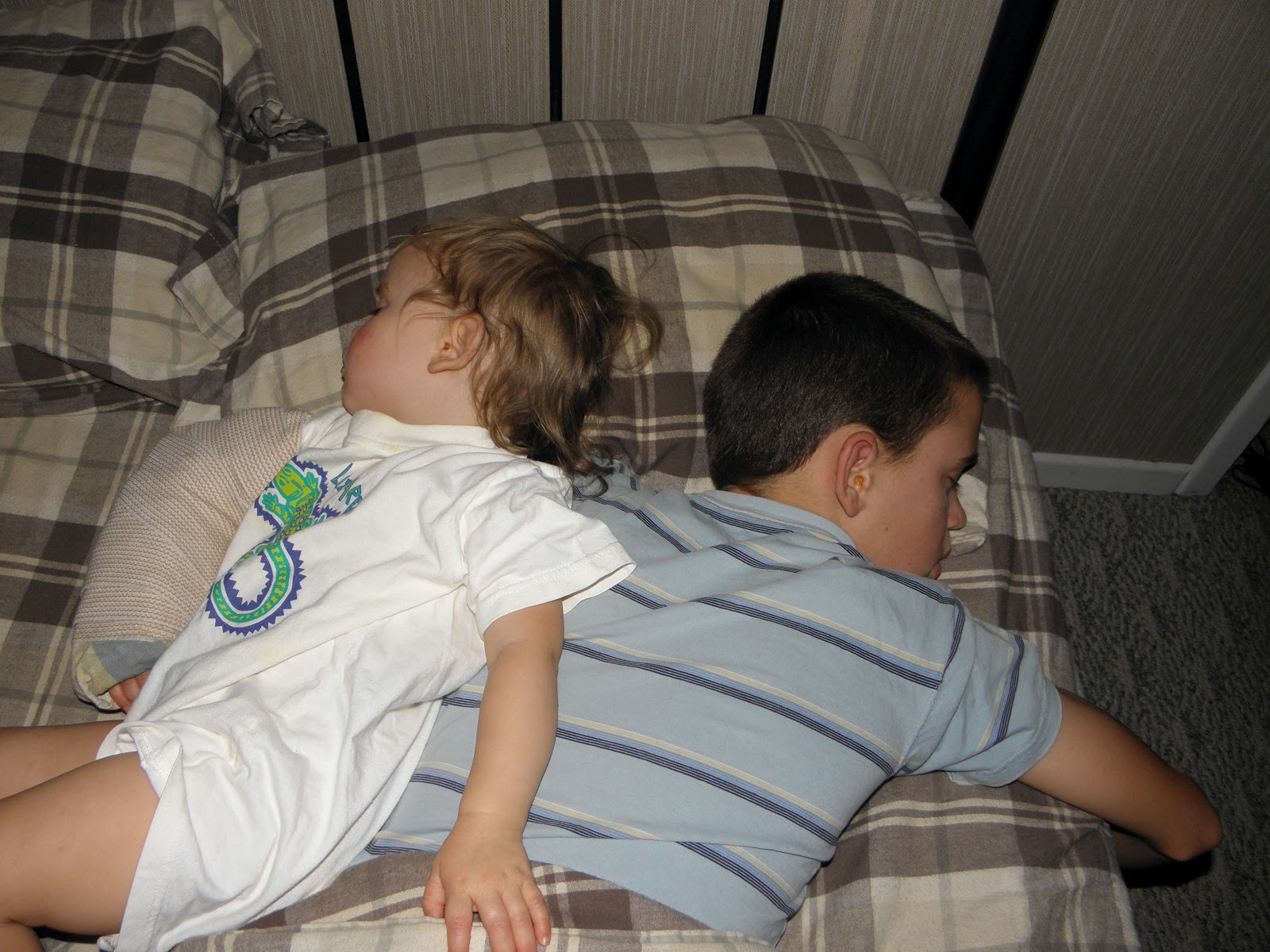 Tree River: An image in the bed...1 Samuel 19:16