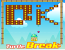 Turtle Break