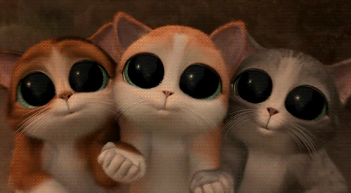 AKI GIFS: Gifs animados Gato de Botas