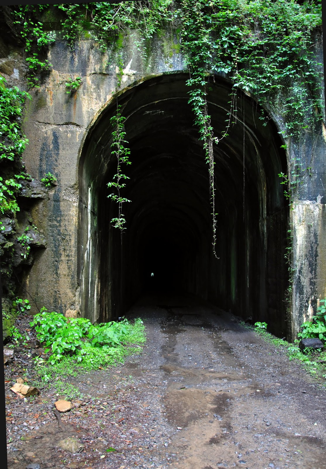 Discover West Virginia Adventures for Hikers on the Gauley River A
