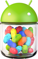 Google Android Jellybean