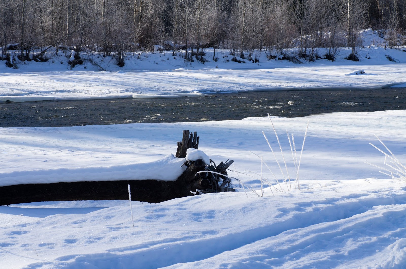 Burnaby Beat Coalmont a BC town that refuses to die