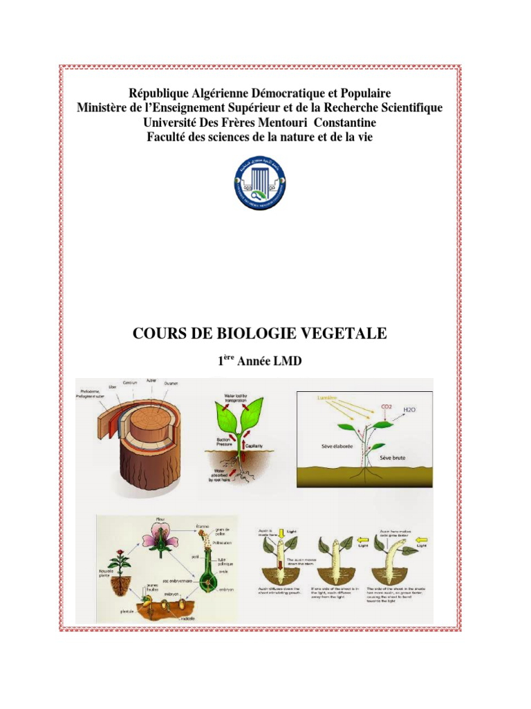 Cours Biologie Vegetale 1ere Annee Snv Examen Td التعليم الجامعي في الجزائر