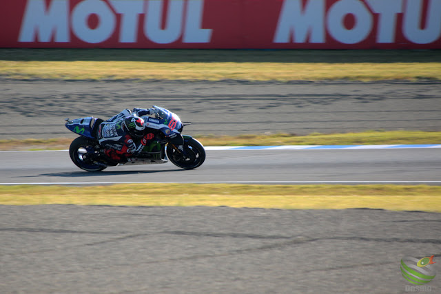 #99 Jorge Lorenzo