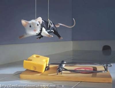 Funny mouse.