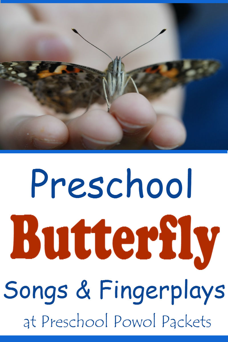 Preschool Butterfly Songs Preschool Powol Packets