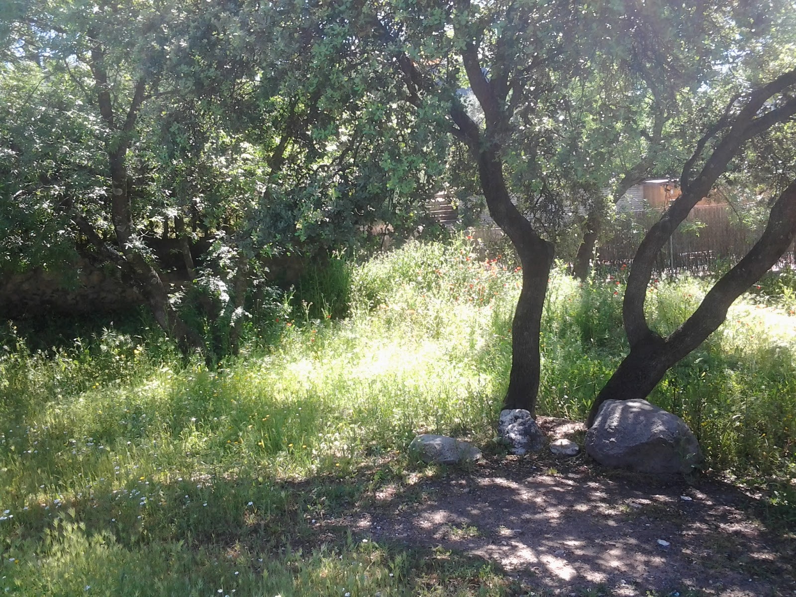 Fantasía en la lectura.es