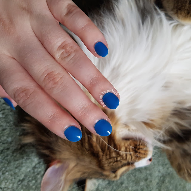 Elevation Polish Lake of the Isles