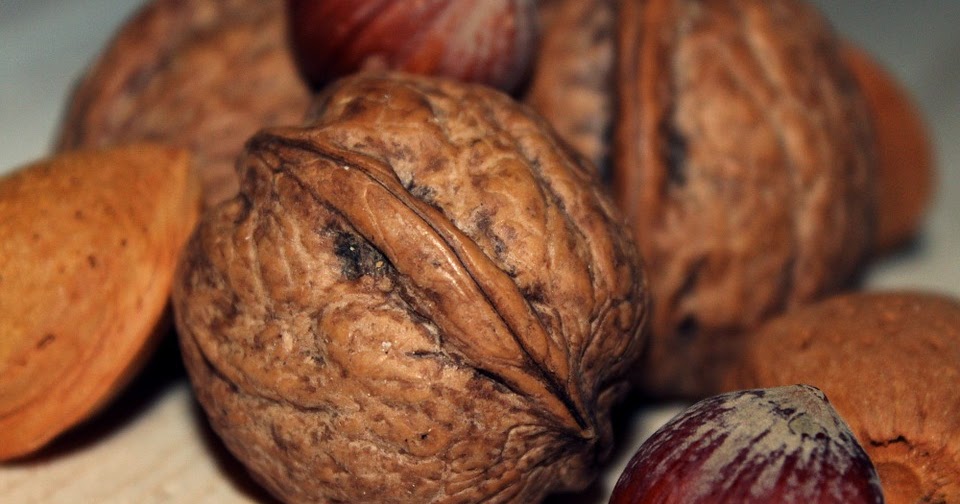 Why To Take Nuts In Your Daily Diet? by Mr Great Fitness