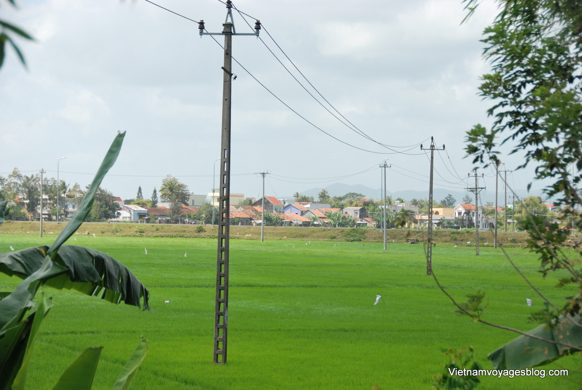 Phú Yên vựa lúa của miền trung