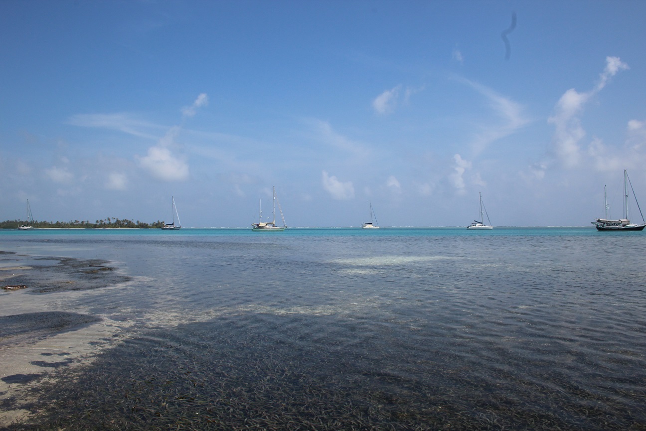 Rafiki, Loud en Marlène Isla Linton Holandes Cays, Panama