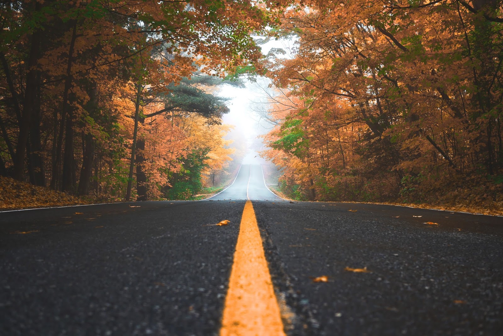 Autumn Road Desktop Backgrounds
